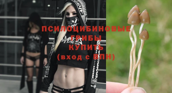 стафф Алексеевка