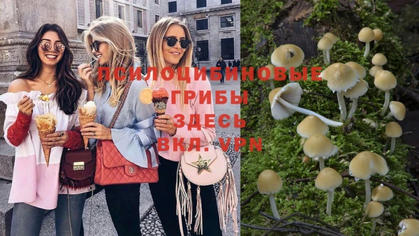стафф Алексеевка