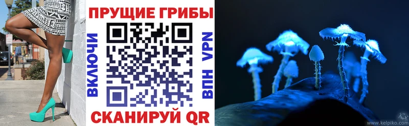 купить Углич Псилоцибиновые грибы ЛСД